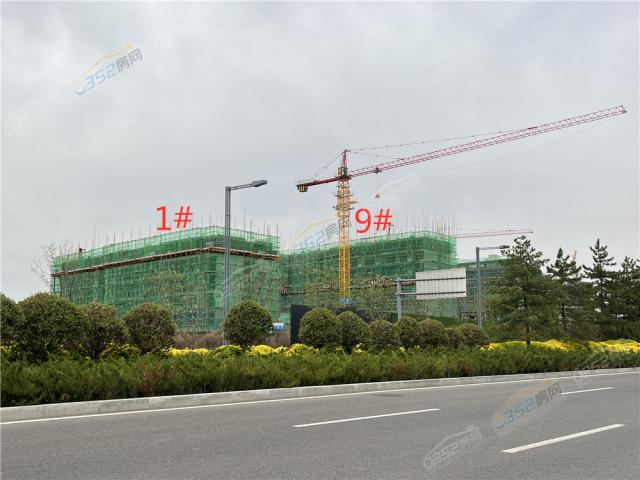 ����2022.5.17�����D