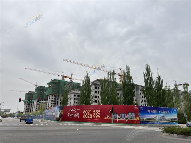 ���������2022.5.17�����D