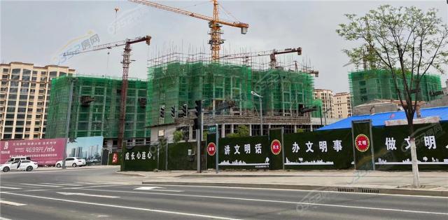 ���о�2022.5.17�����D