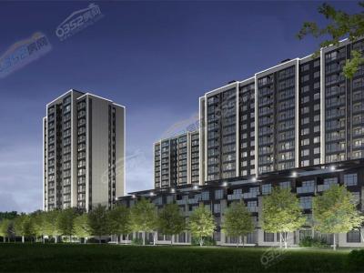 ҹ��Ч���D