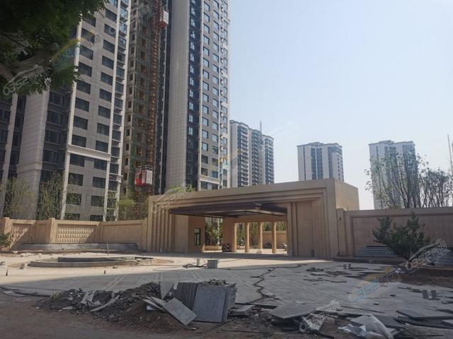 2022.5.24���T�����D