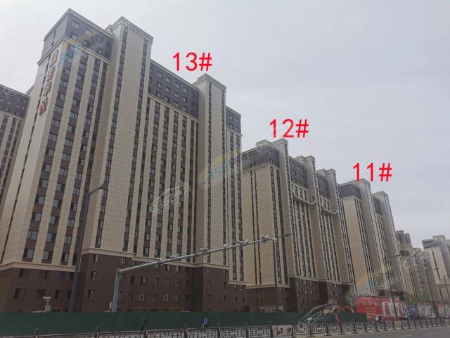 2022.5.25���������