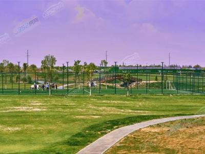 ����С��ǿՠI��