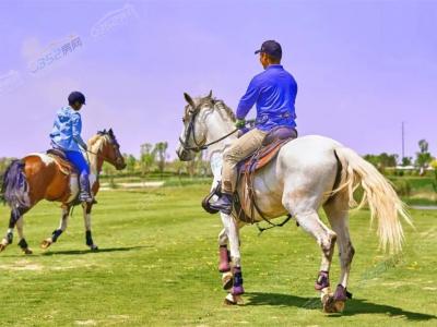 ����С��ǿՠI��