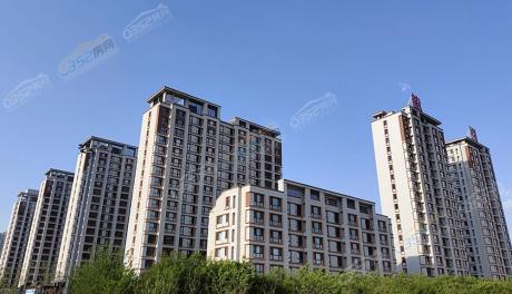 ���������D