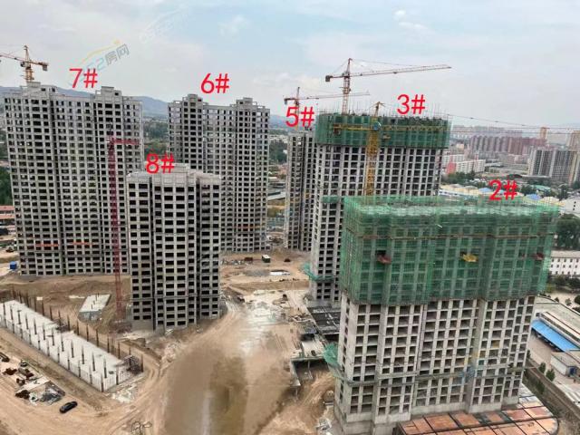 2022.5.28�����D