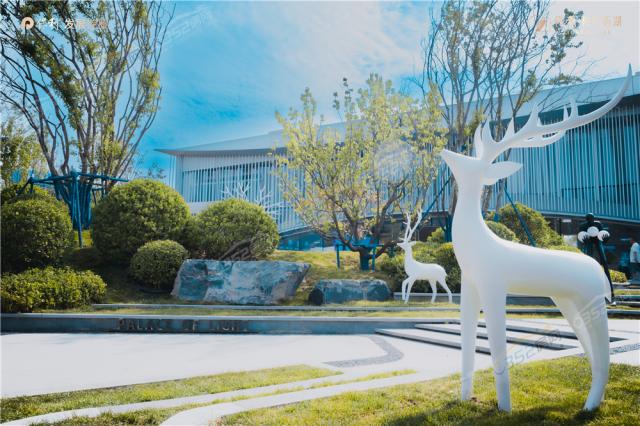 ���������D