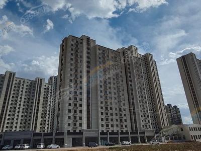 2022.6.8�ձ��Ȍ����D