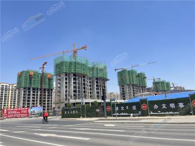 ��孖|�����о�2022.6.13��(sh��)���D