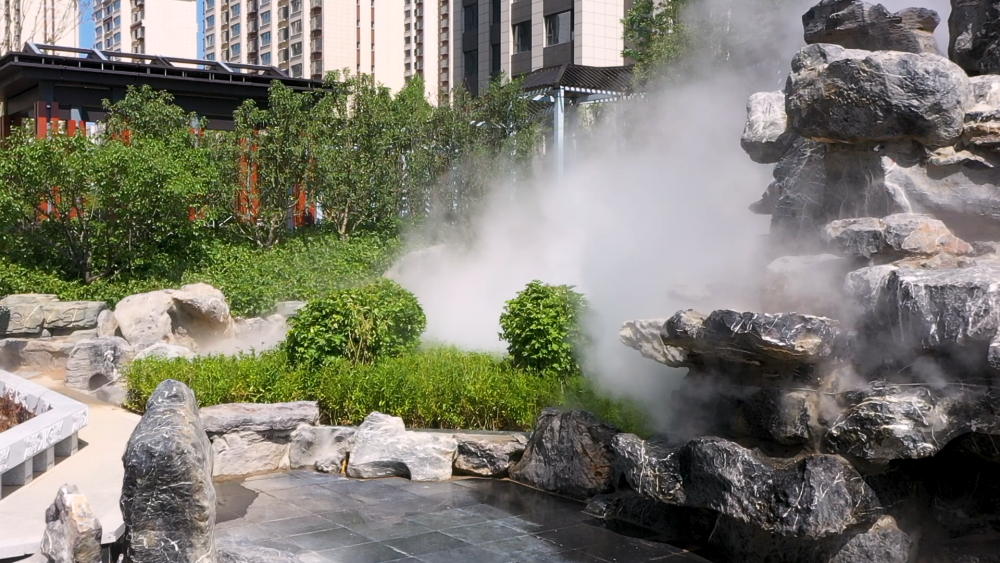 �@�֌����D