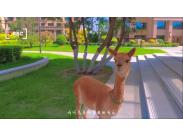 ������������F���