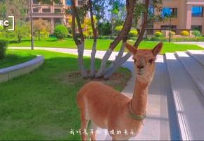 ������������F���