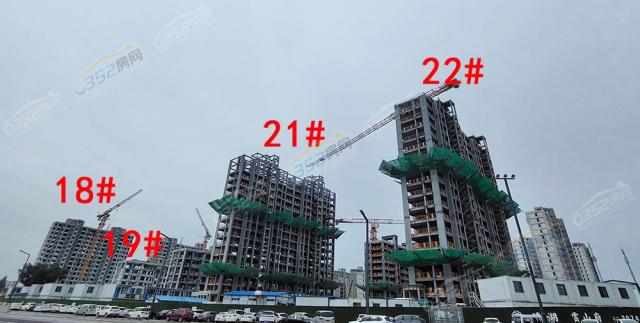 2022.7.21�Ֆ|�Ȍ����D