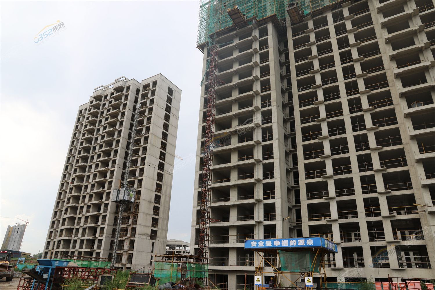 CJ3A3469.jpg CJ3A3469.jpg