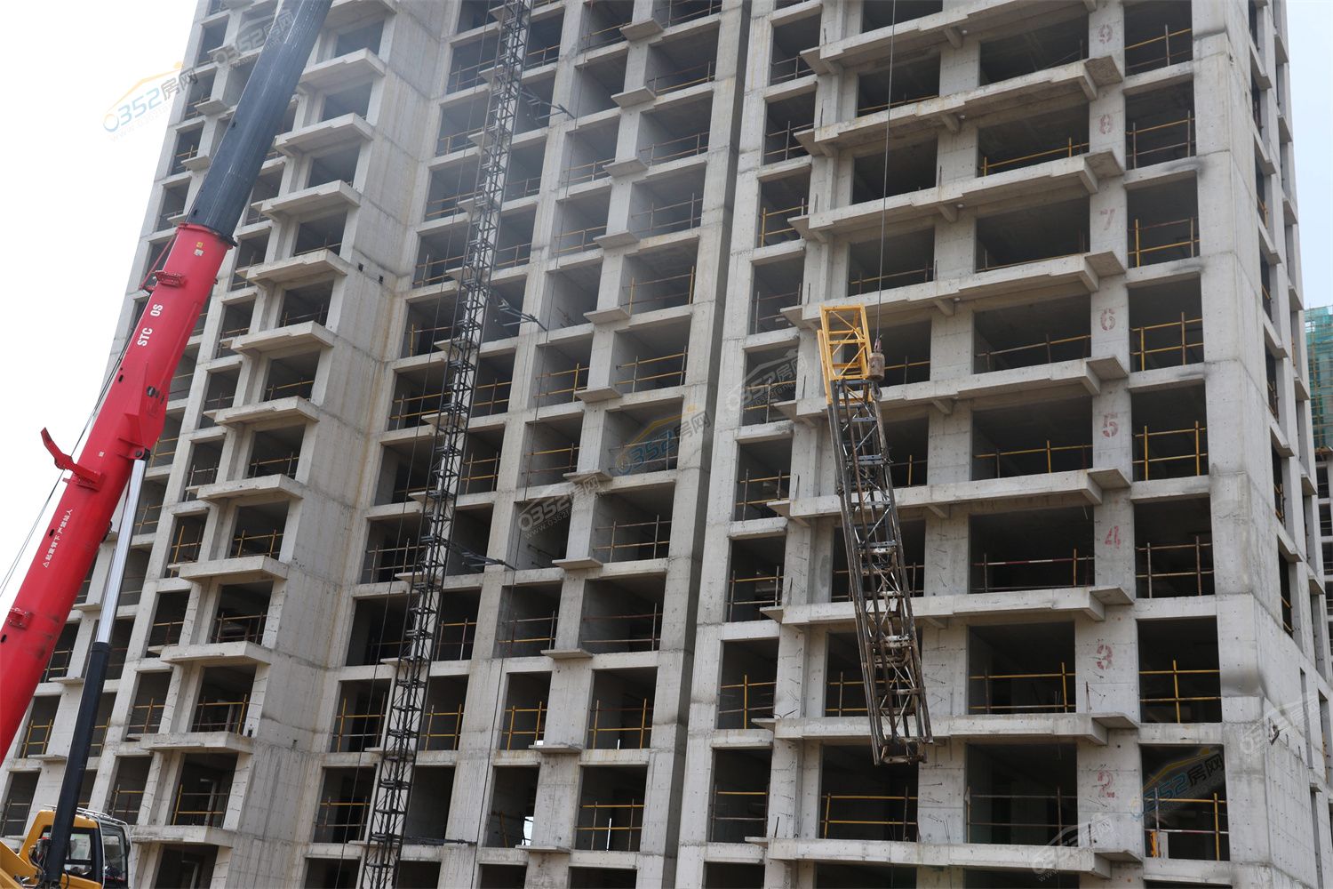 CJ3A3499.jpg CJ3A3499.jpg