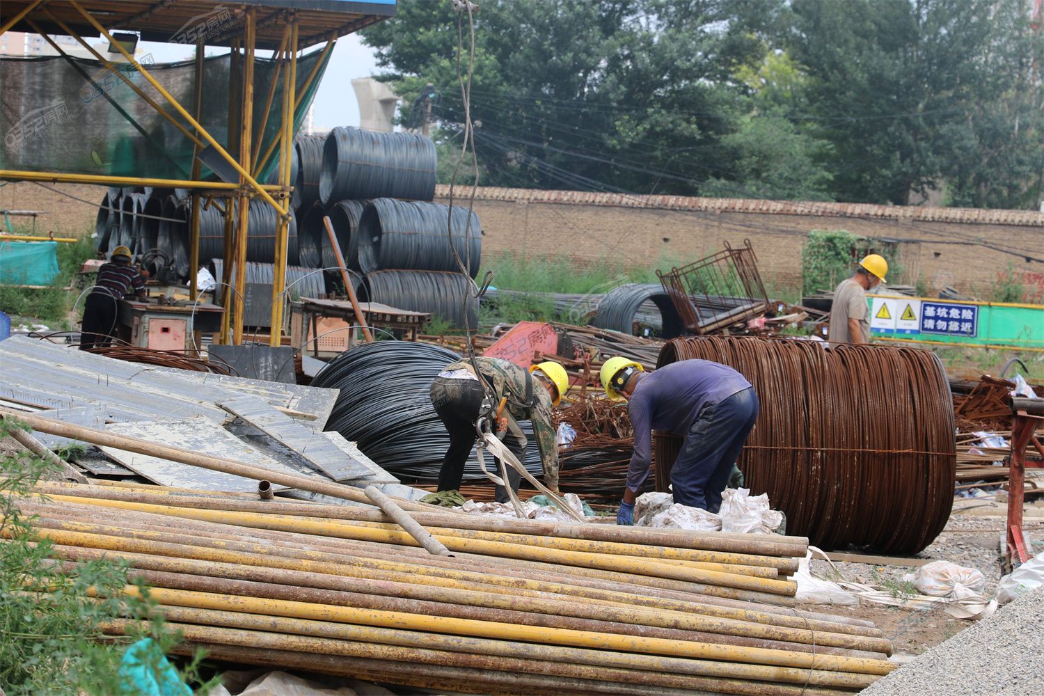 CJ3A3509.jpg CJ3A3509.jpg