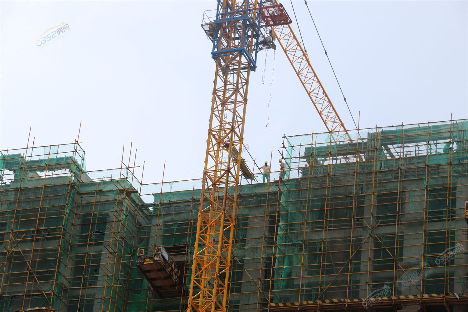 CJ3A3507.jpg CJ3A3507.jpg