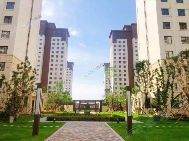 2022.8.1�ս��������D