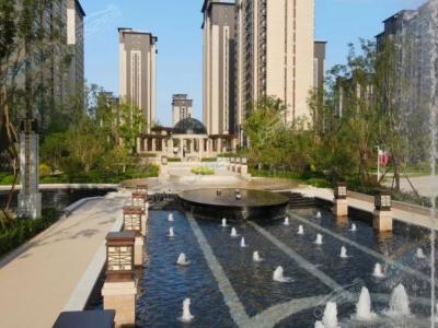 ��^���^�����D