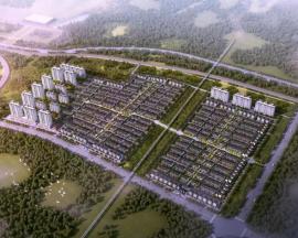 �V����������