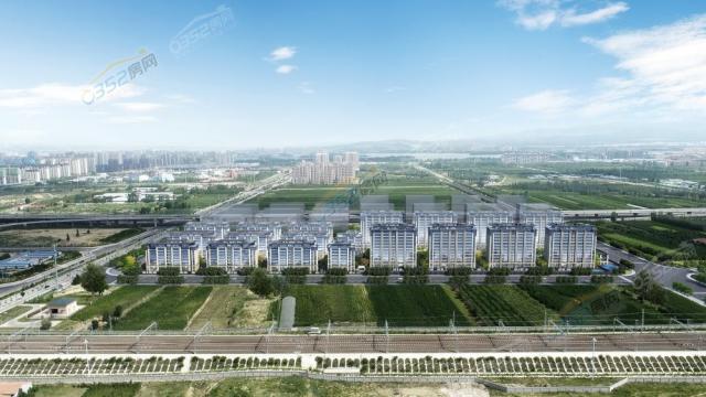 ���w�B�Ч���D