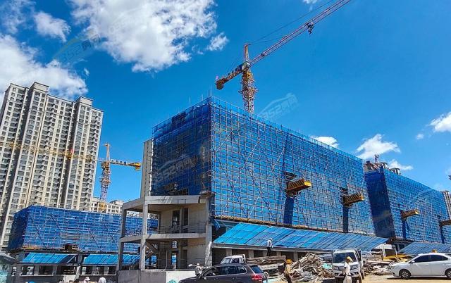 2022.8.15�Ռ����D