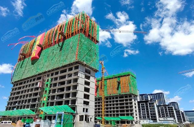 2022.8.15�շ�플����D