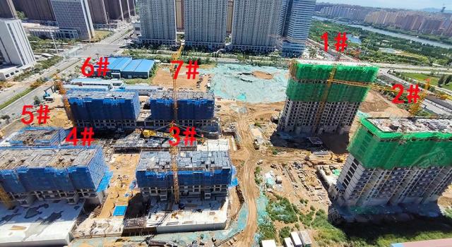 2022.8.15�����w�����D