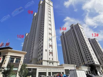 2022.8.20�|�^�����ǌ���