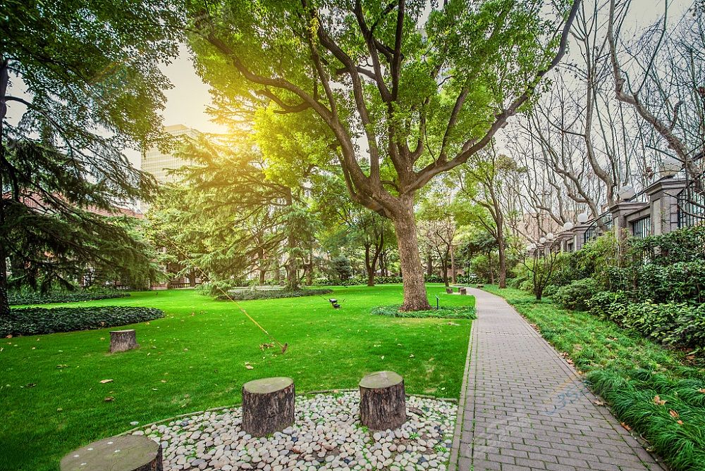 鍏?洯2.jpg 鍏?洯2.jpg