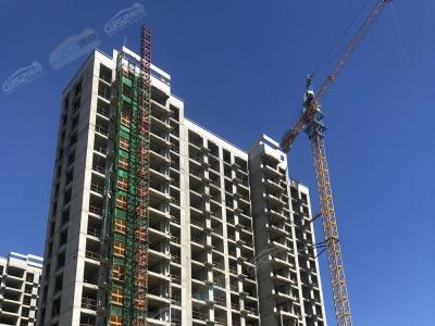 35#�ǌ����D