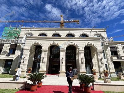 �I�N���Č����D