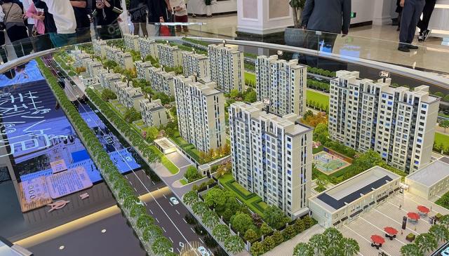 ɳ�P�����D