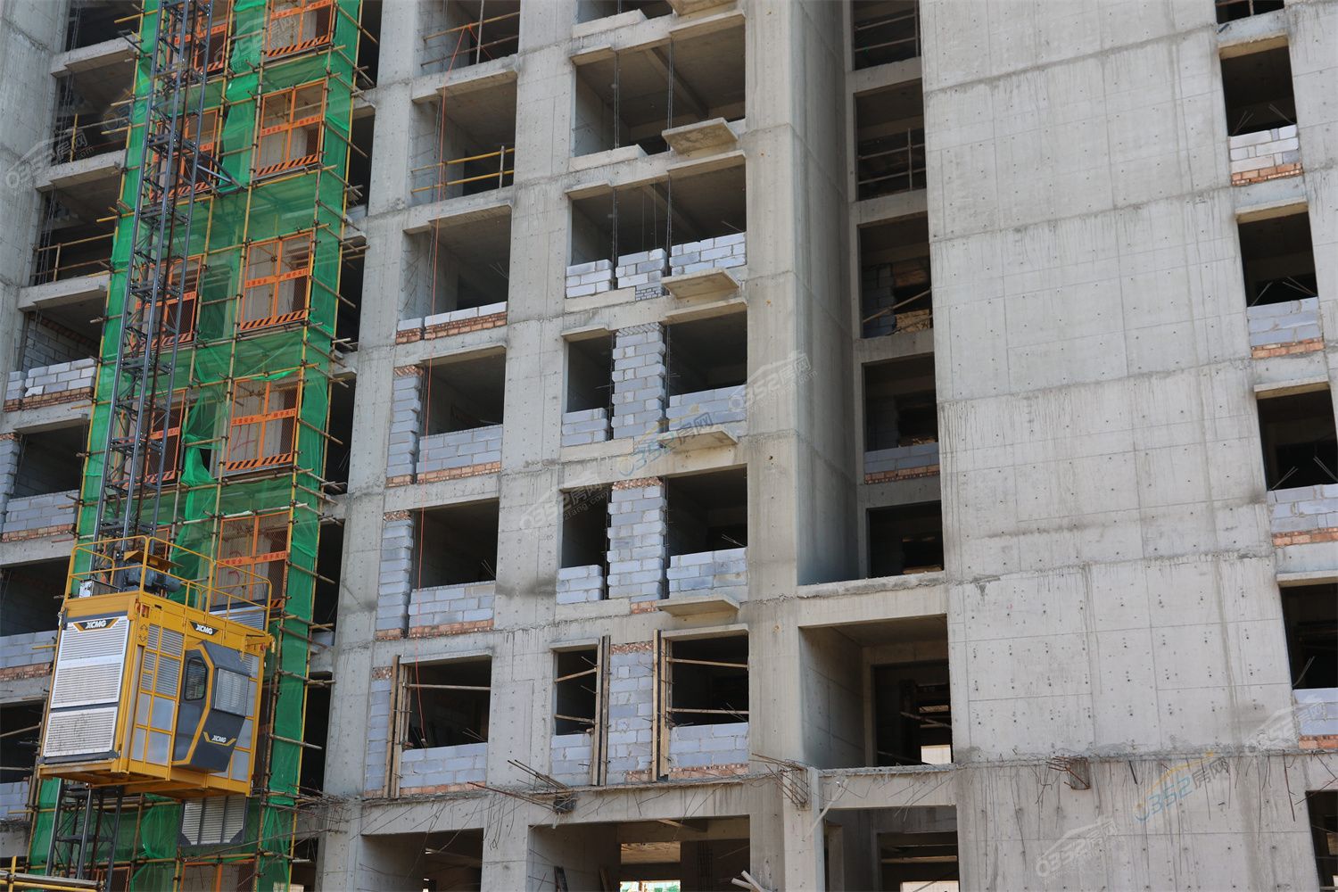 CJ3A3811.jpg CJ3A3811.jpg