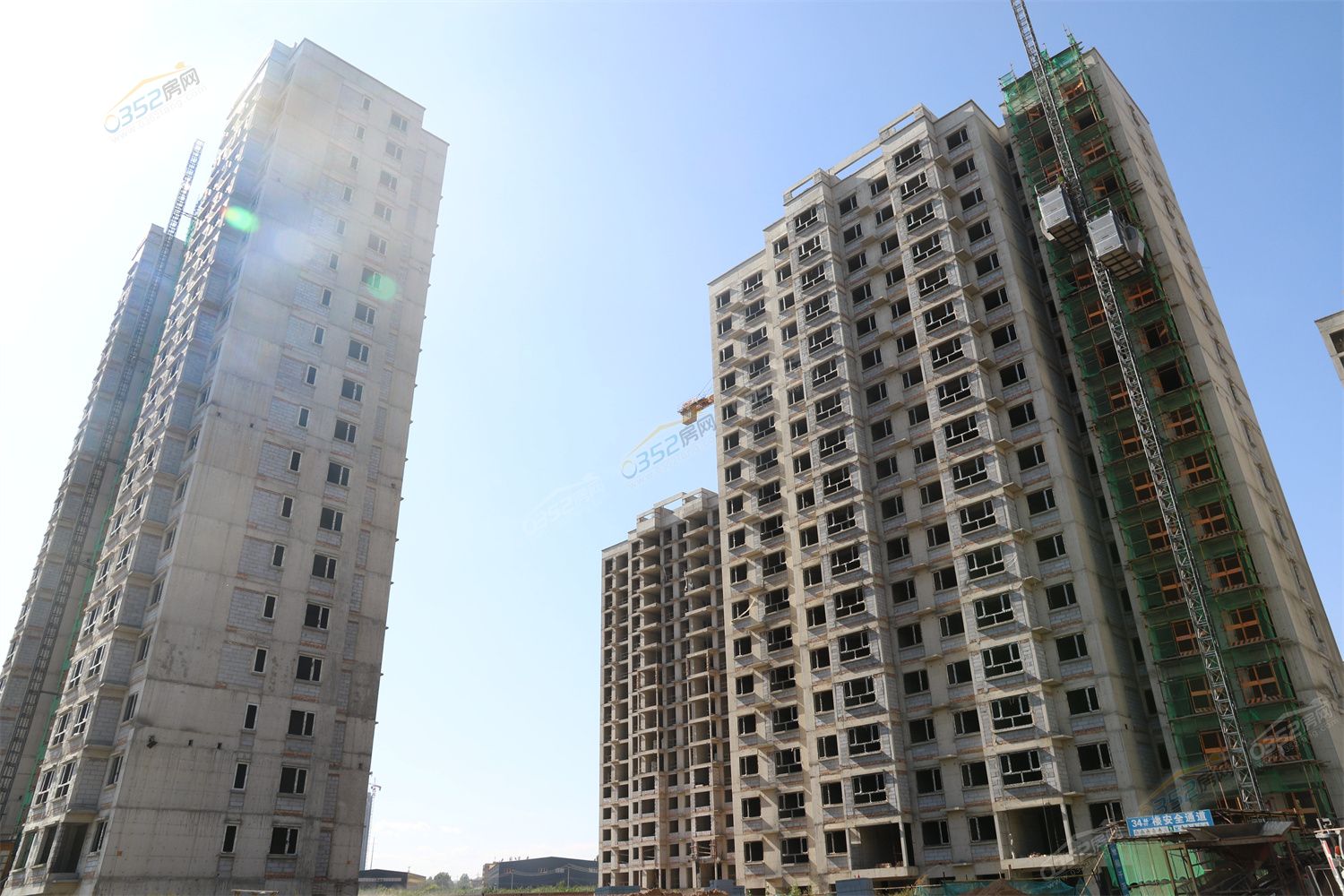 CJ3A3825.jpg CJ3A3825.jpg