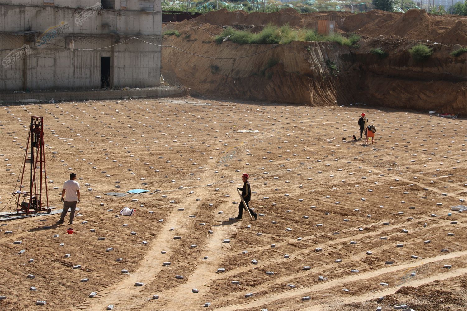 CJ3A3808.jpg CJ3A3808.jpg