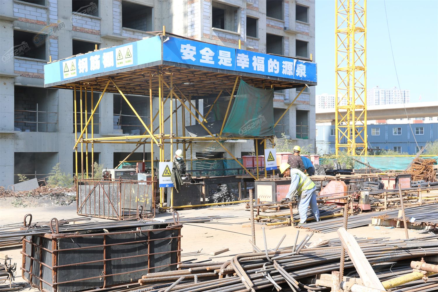 CJ3A3829.jpg CJ3A3829.jpg