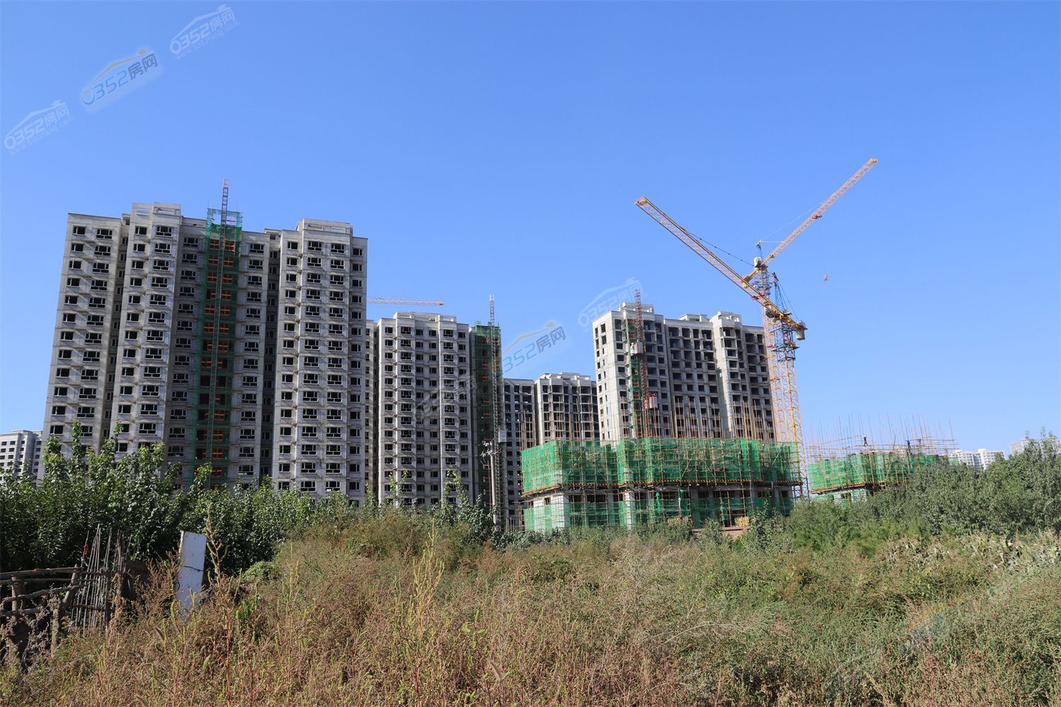 CJ3A3842.jpg CJ3A3842.jpg