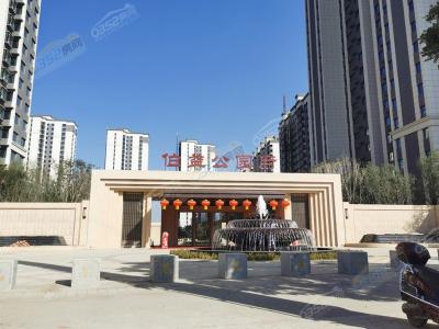 ���T�����D