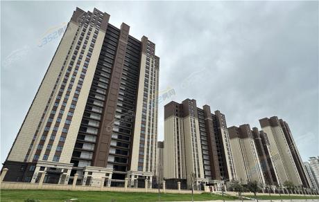 2022.9.26�W���Aͥ�����D