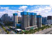 ��ƶ˺���