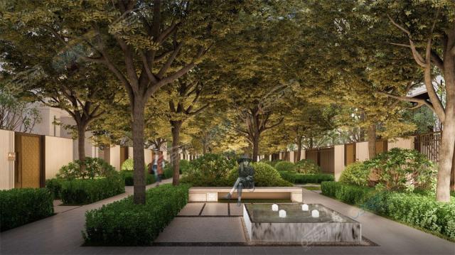 �����͹�Z���@��Ч���D