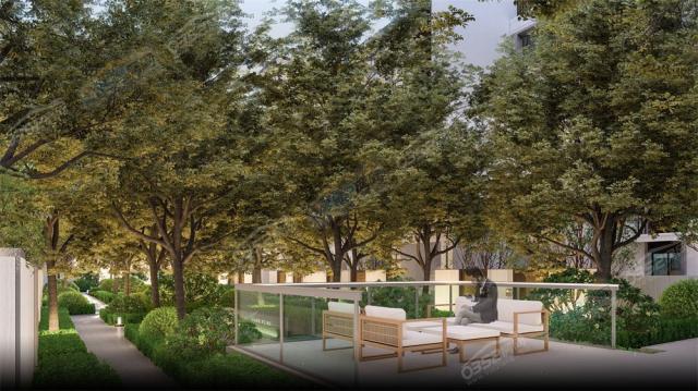 �����͹�Z���@��Ч���D