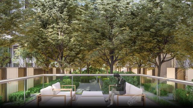 �����͹�Z���@��Ч���D