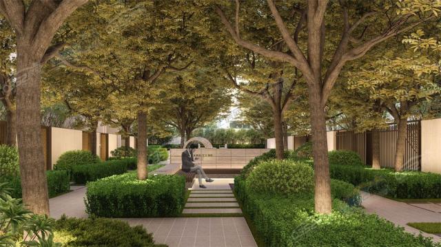 �����͹�Z���@��Ч���D