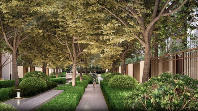 �����͹�Z���@��Ч���D