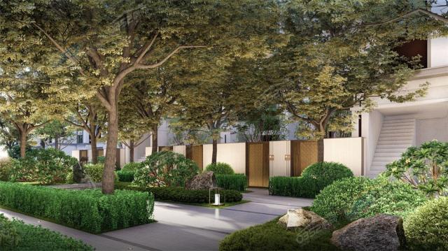 �����͹�Z���@��Ч���D