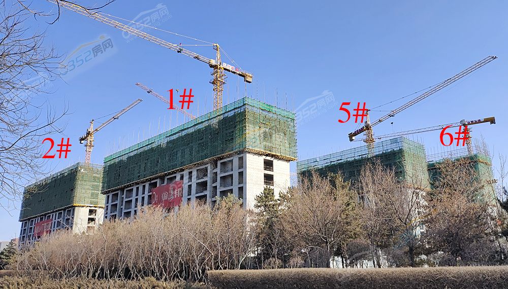 wyht01.jpg wyht01.jpg