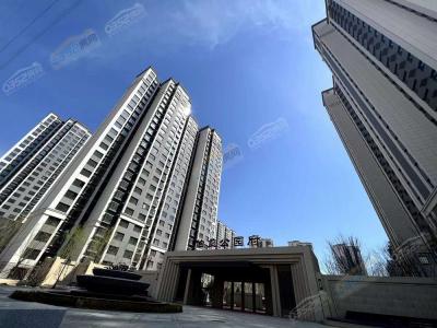 2023.4.10����