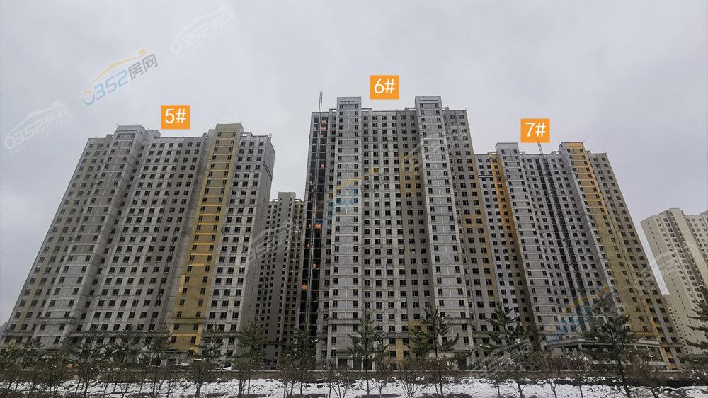 xuefuli_鍓?湰.jpg xuefuli_鍓?湰.jpg